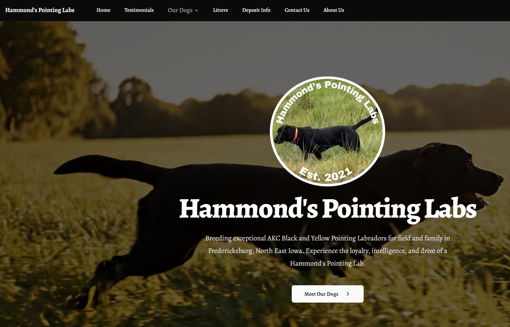 Hammonds Pointing Labs